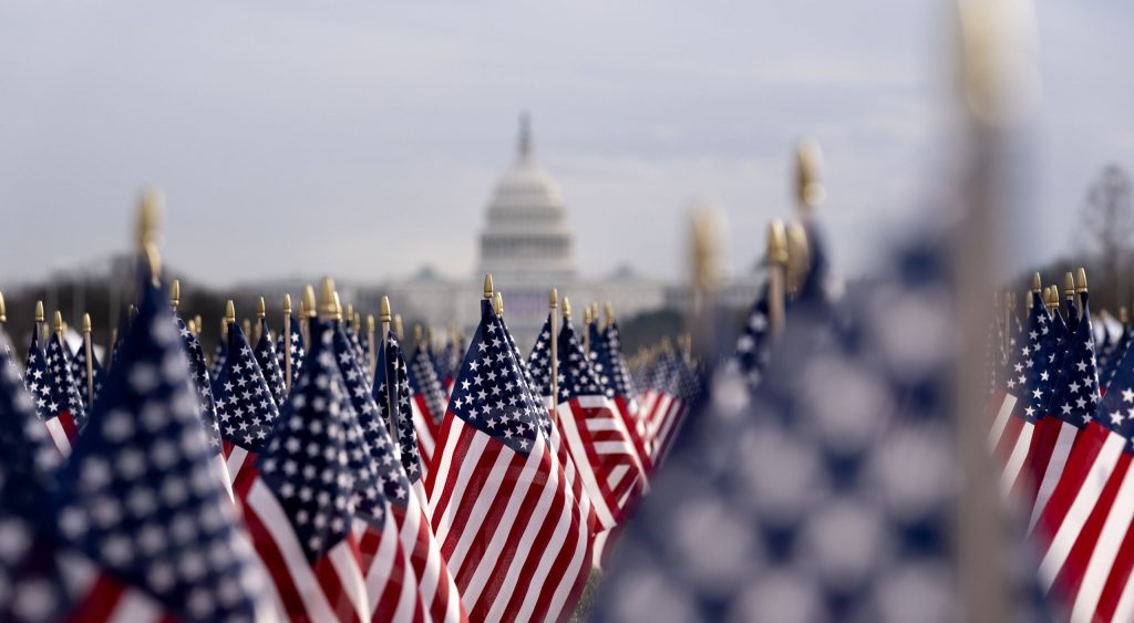 Rows of American flags in front of the U.S. Capitol building.