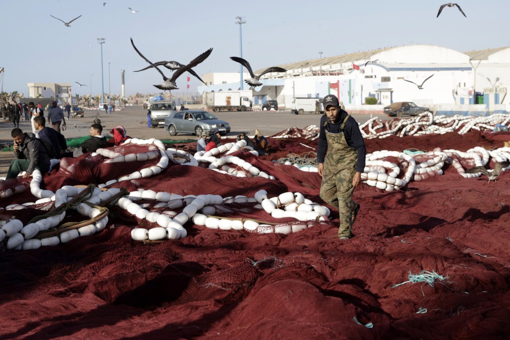 Industrial fishing nets that appear to be dark red in color, along with their white floats, are spread out across the bottom two-thirds of the image, with fishermen walking among them and seagulls flying overhead, against a backdrop of a large paved area where a few cards are driving in front of an array of white warehouse-like buildings in the background. (Photo by ABDEL MAJID BZIOUAT/AFP via Getty Images)